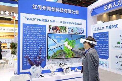 云南信息技術(shù)咨詢服務(wù)在第三屆全國人力資源服務(wù)業(yè)發(fā)展大會(huì)中展風(fēng)采